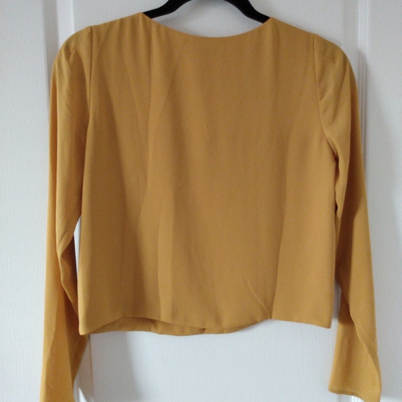 Babaton Aritzia yellow/gold Blouse - Picture 3 of 4